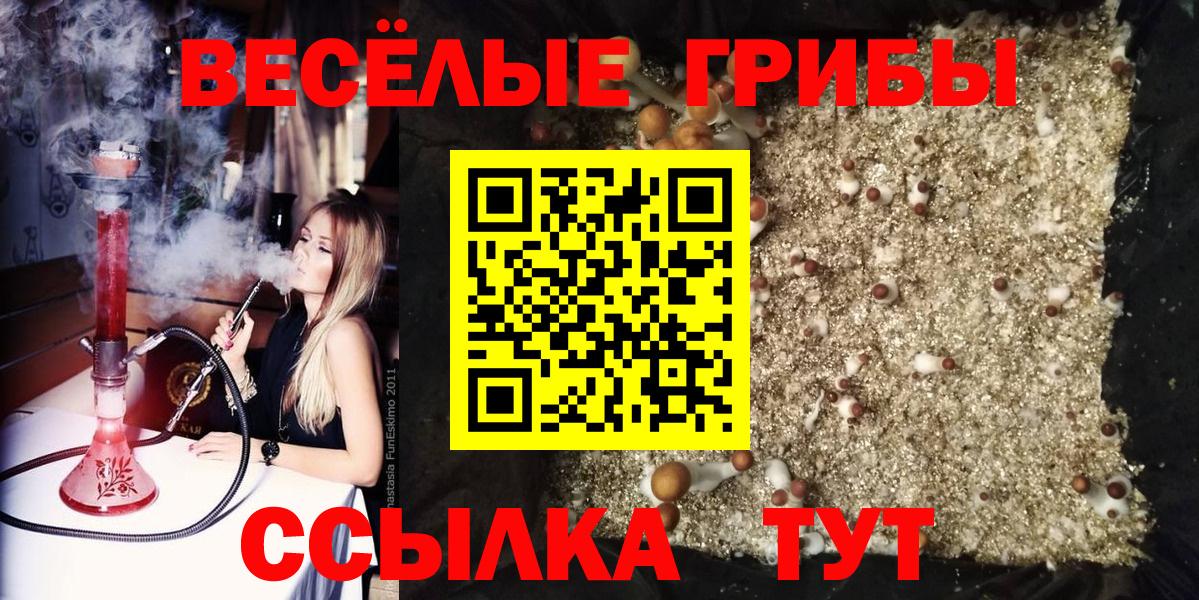 Псилоцибиновые грибы прущие грибы  Вход с VPN  купить  цена  Галлюциногенные грибы GOLDEN TEACHER  Йошкар-Ола 
